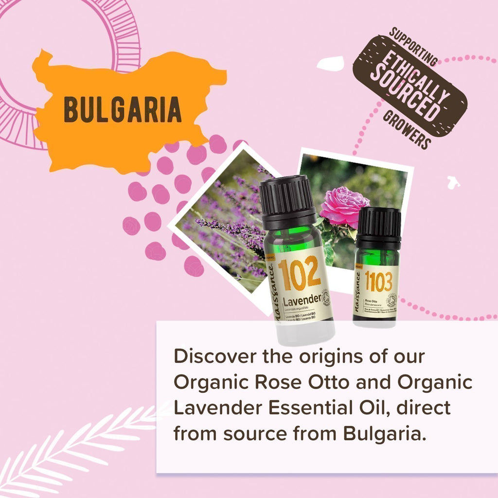 Organic Lavender and Rose Otto Origin Story