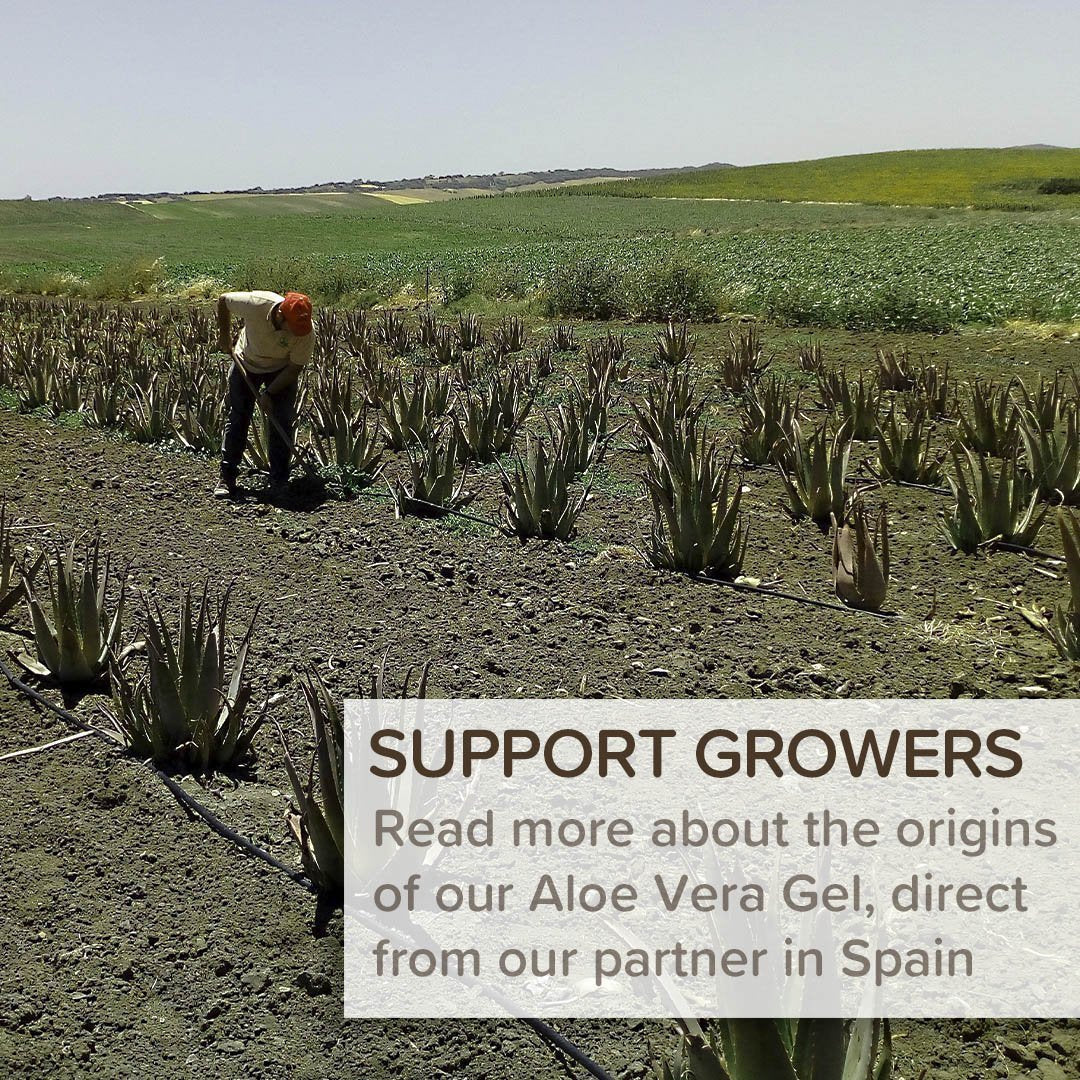 Aloe Vera Origin Story | Naissance  Naissance UK