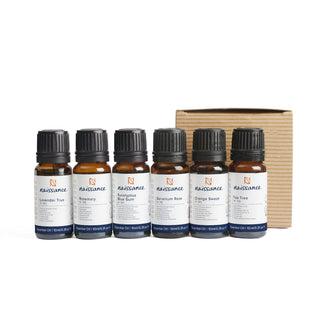 Best Selling Essential Oil Set | Top 6