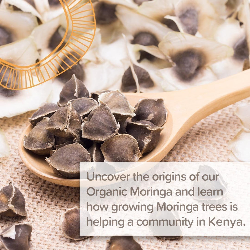 Organic Moringa Origin Story