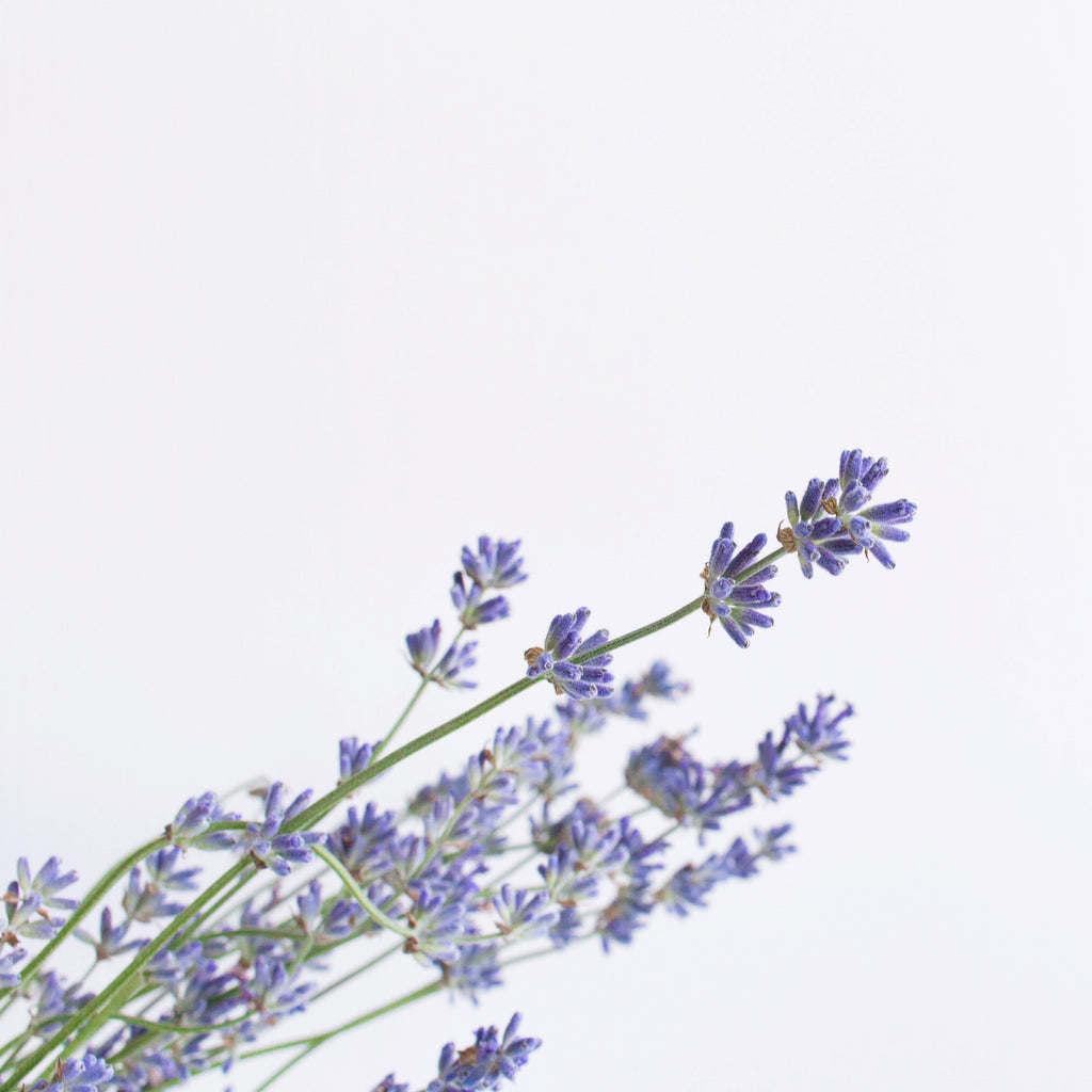 Essential Oils For Sleep: How Do They Help? | Naissance