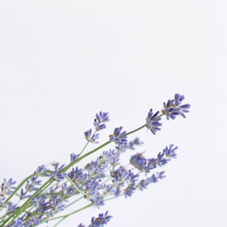 Essential Oils For Sleep: How Do They Help? | Naissance