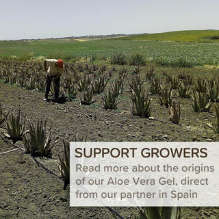 Aloe Vera Origin Story