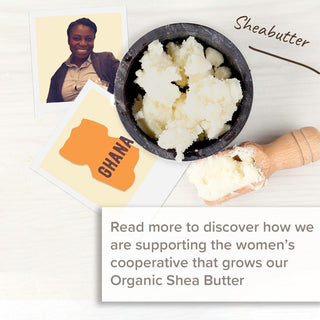Organic Shea Butter Origin Story