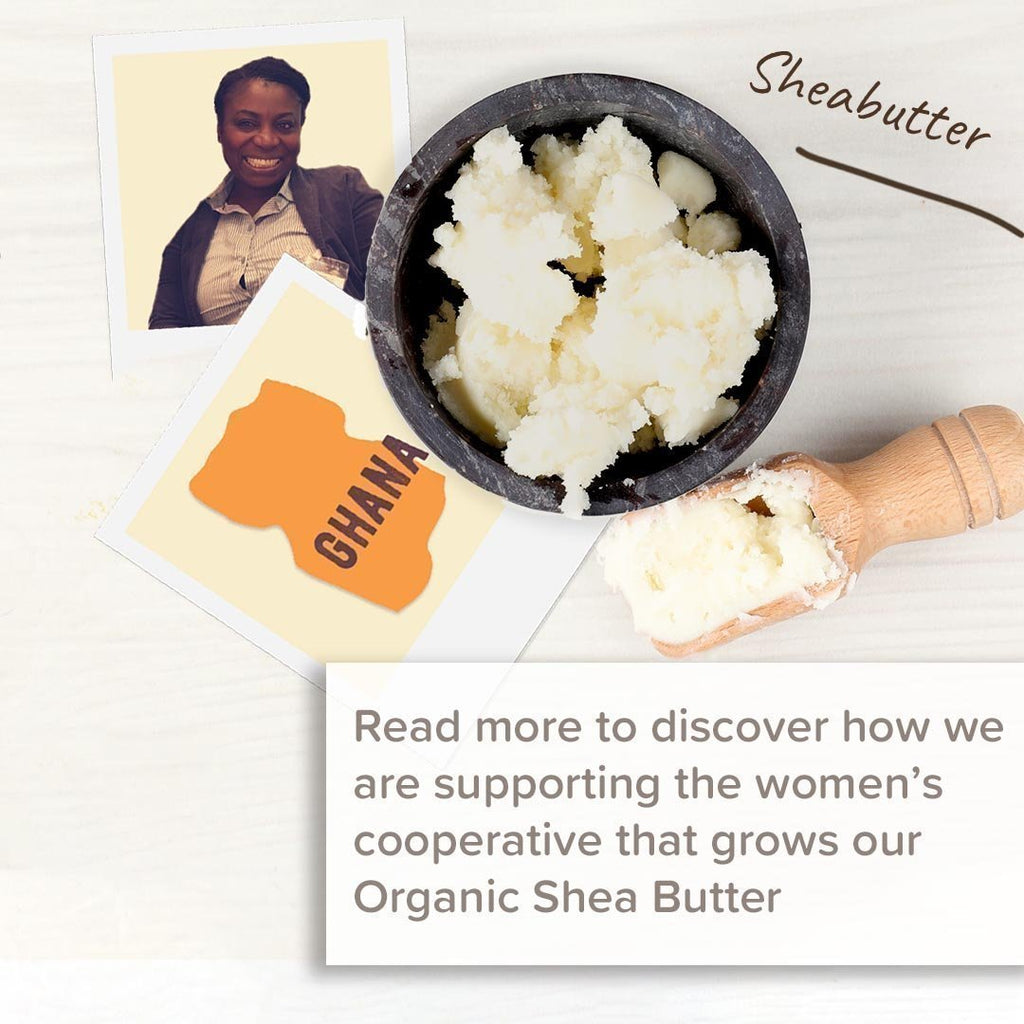 Organic Shea Butter Origin Story