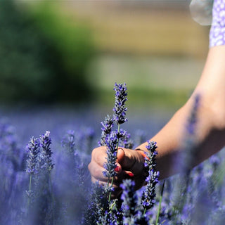 Celebrate Aromatherapy Week | Naissance