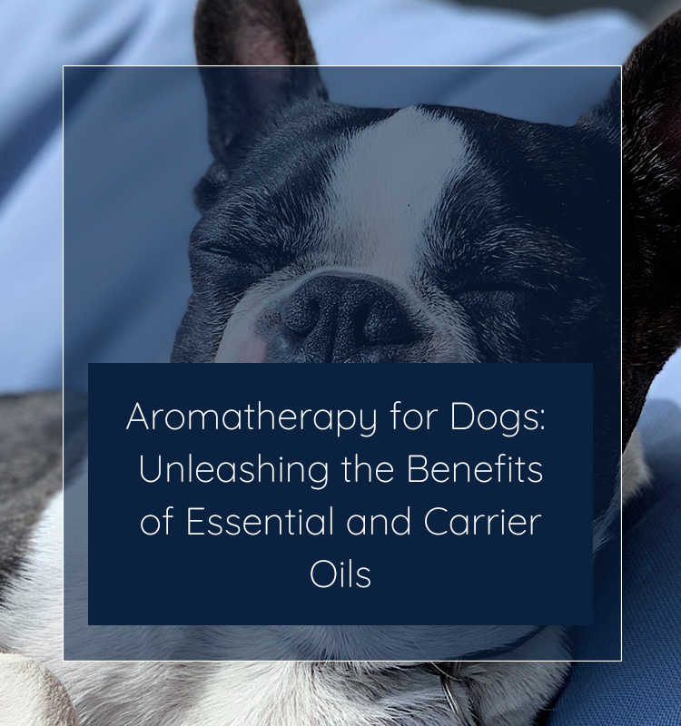 Aromatherapy for Dogs: Unleashing the Benefits of Essential and Carrier Oils | Naissance