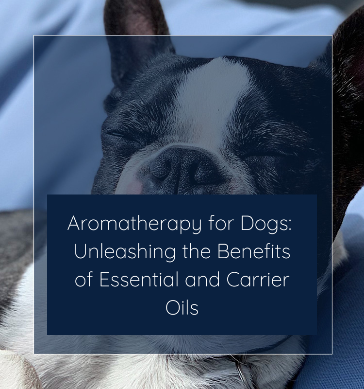 Aromatherapy for dogs Clearance