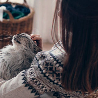 Embrace the Cosy Vibes of Autumn: Essential Oils for a Warm &amp; Relaxing Ambience