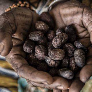 Shea Butter Benefits and Uses